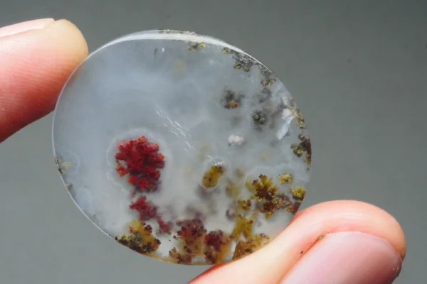 27.010 CRT BEAUTY RARE PLUME RED AGATE